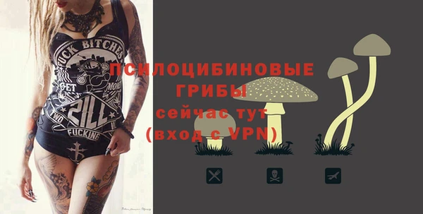 спиды Лагань