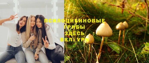 эйфоретик Лабытнанги
