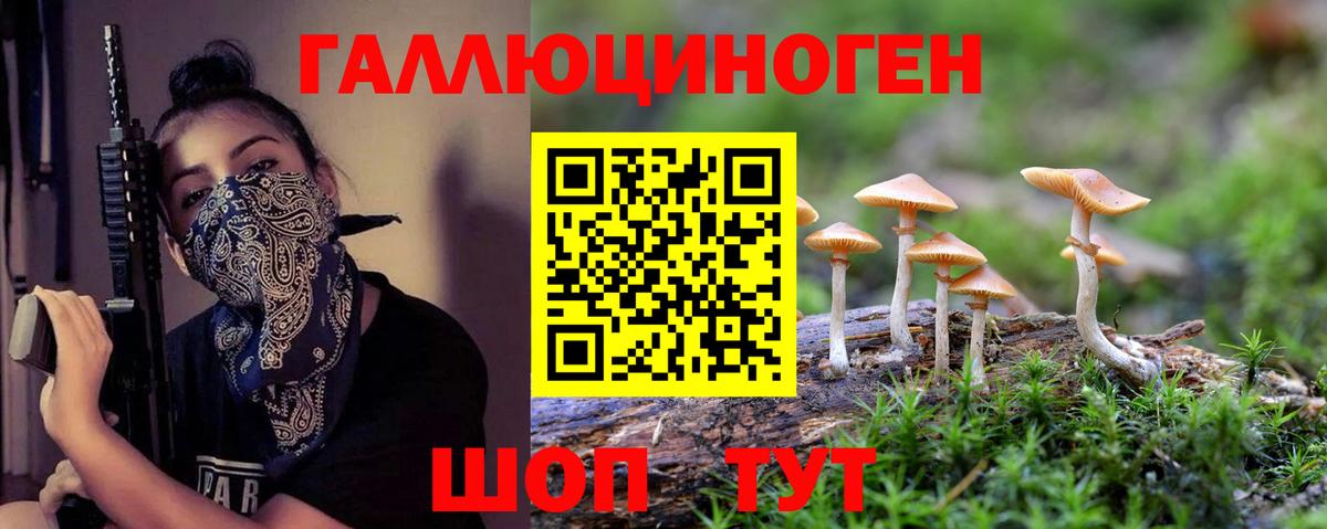 Псилоцибиновые грибы Magic Shrooms Избербаш