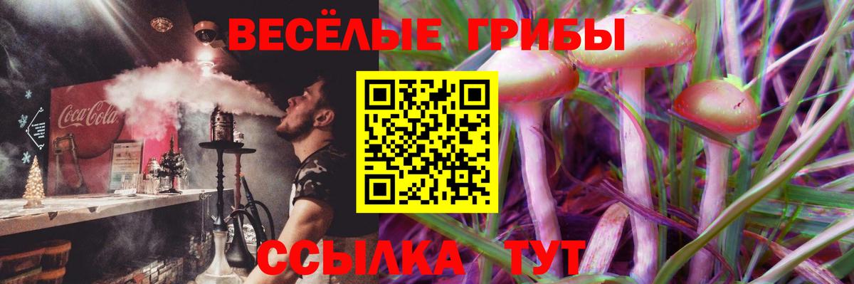 Галлюциногенные грибы Cubensis  Вход с VPN  Галлюциногенные грибы прущие грибы  Избербаш 